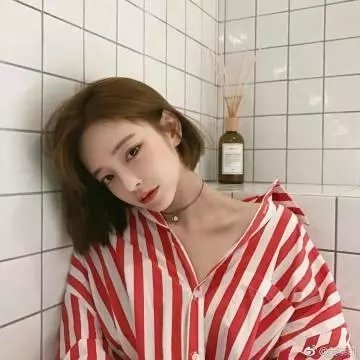 哈森与加米拉